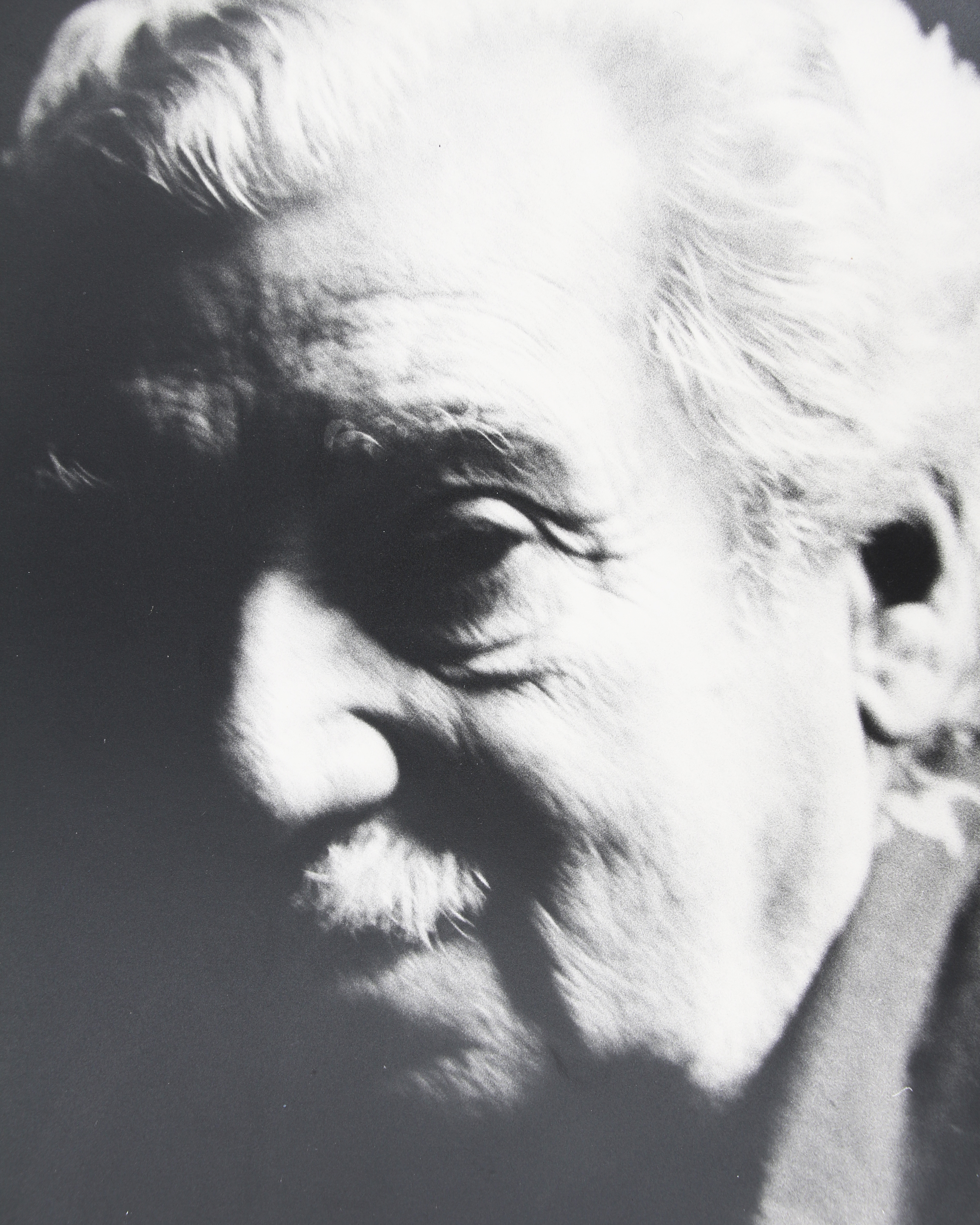 Amado, Jorge (1912-2001)