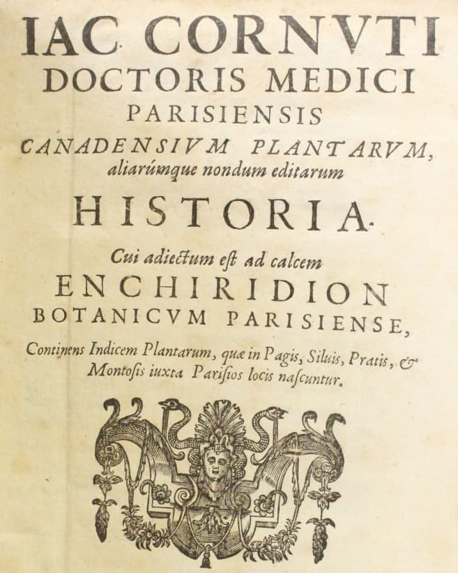 Jacques Philippe CORNUT