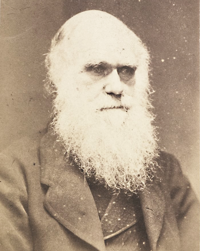 Darwin, Charles (1809-1882 ; géologue)