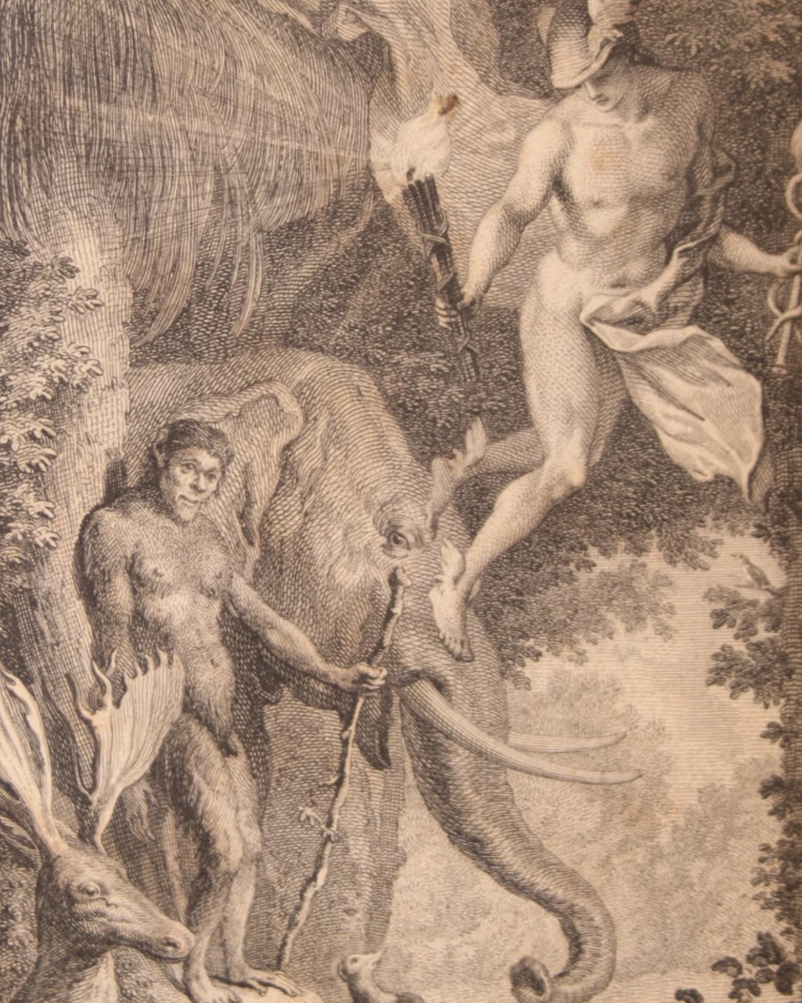 Charles-Thomas-Dominique FOUCHER D'OBSONVILLE