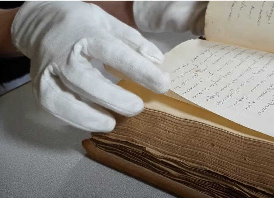 On the Uselessness of White Gloves in Conservation