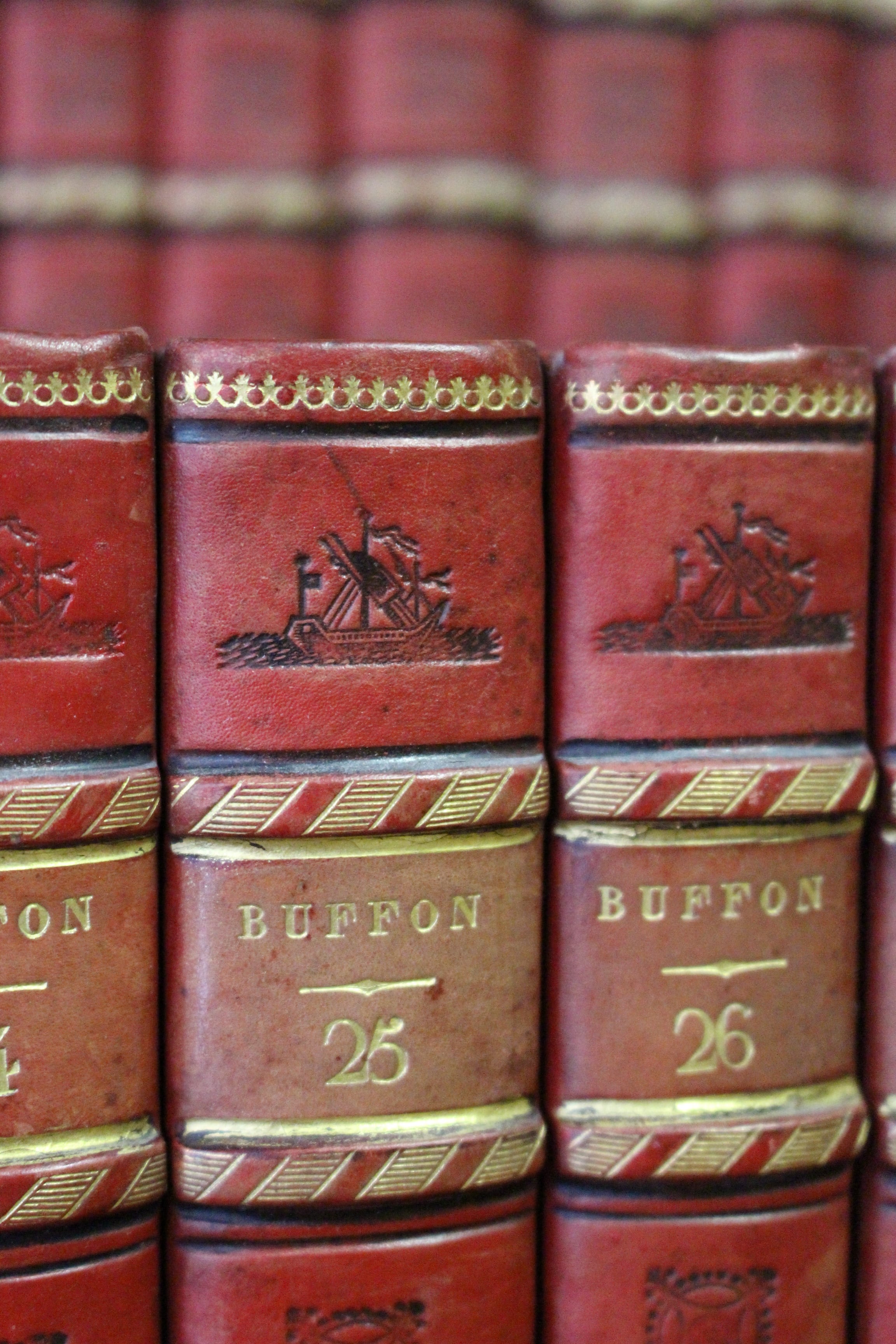 Notre service de conception et élaboration de bibliothèque