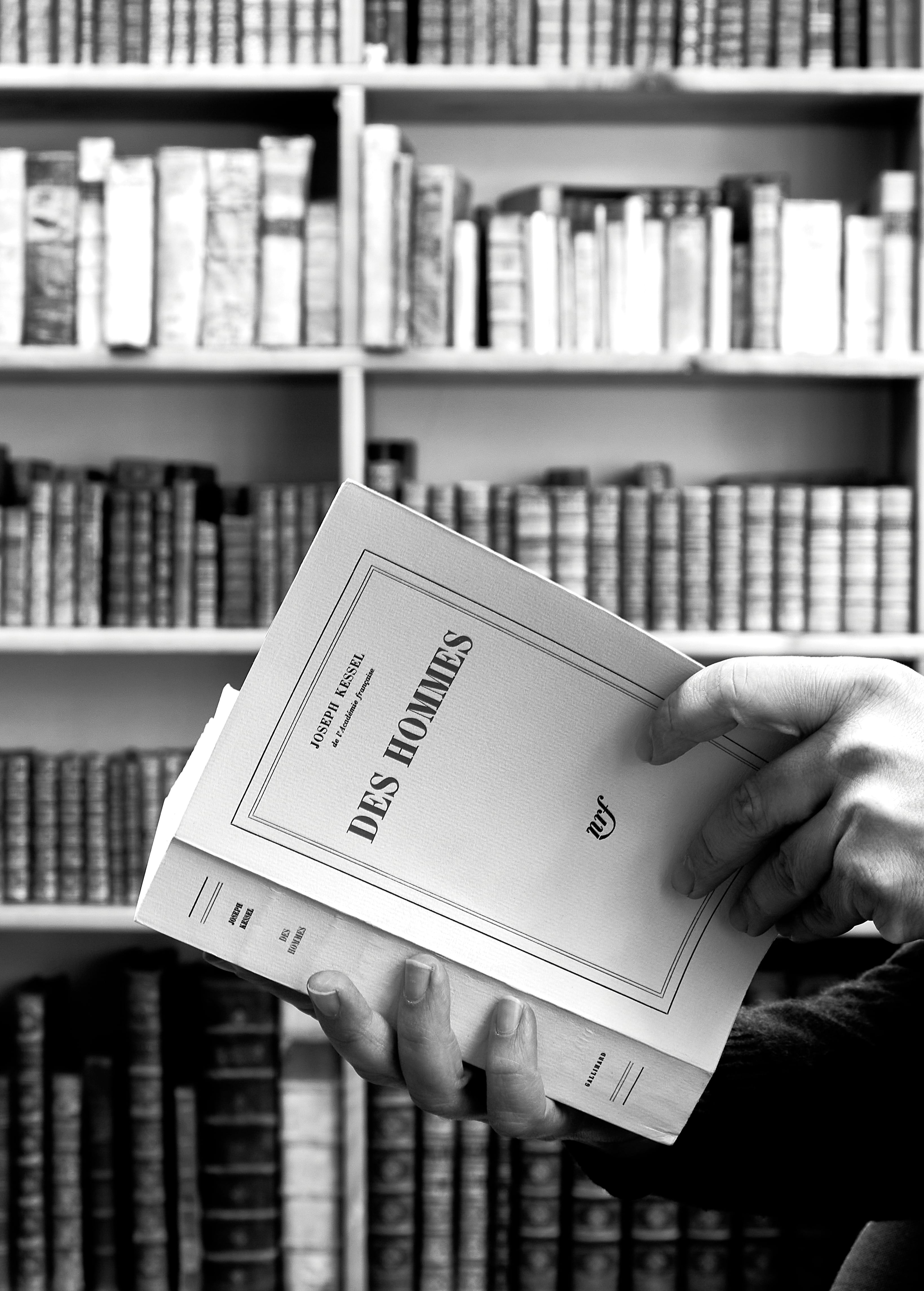 Gifst in Chiaroscuro