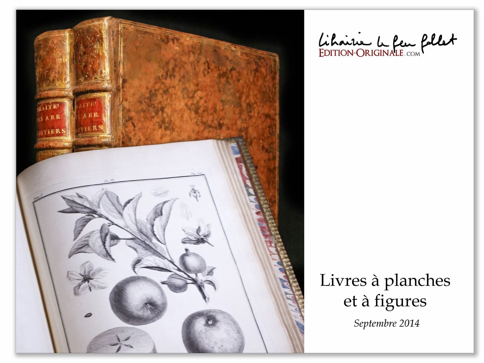 Les livres anciens à planches et à figures se distinguent