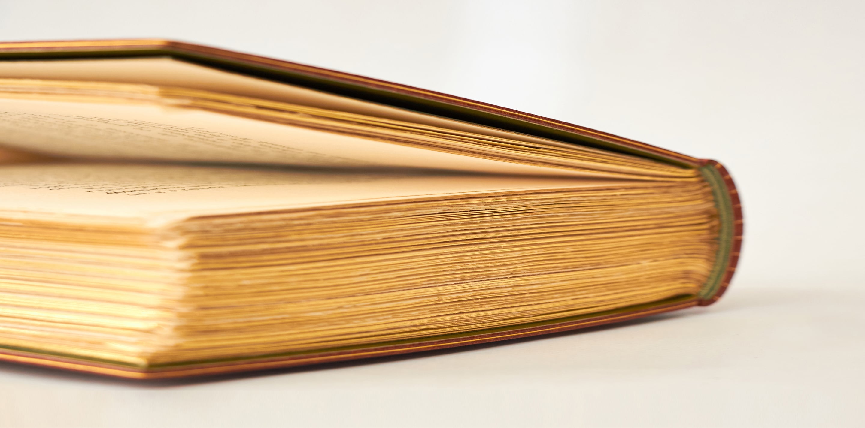 Discover our new website