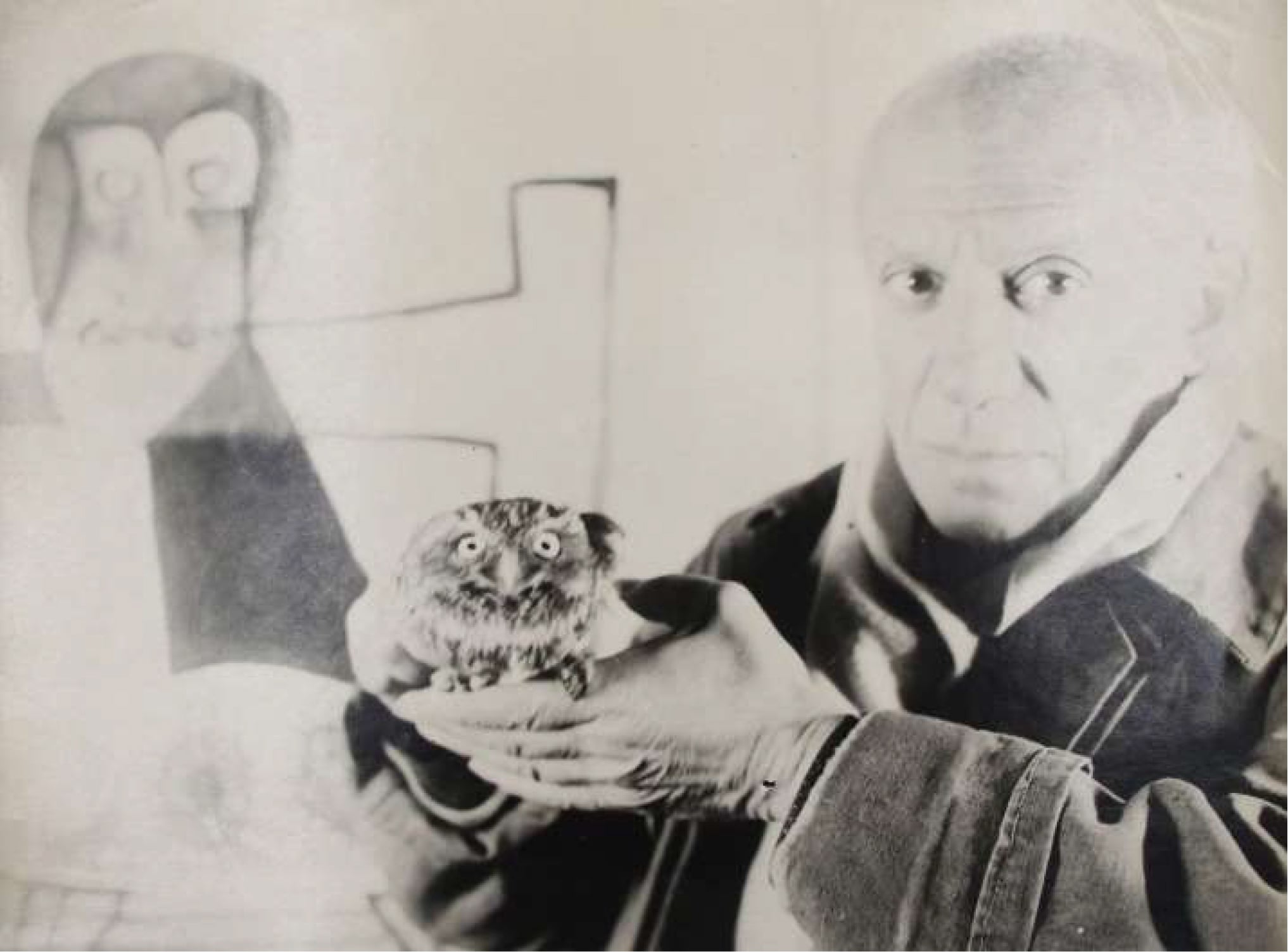 Edition-Originale wishes you a hoot of a new year