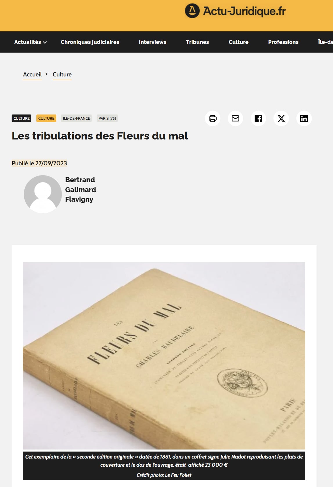 Les Tribulations des Fleurs du Mal par Bertrand Galimard Flavigny