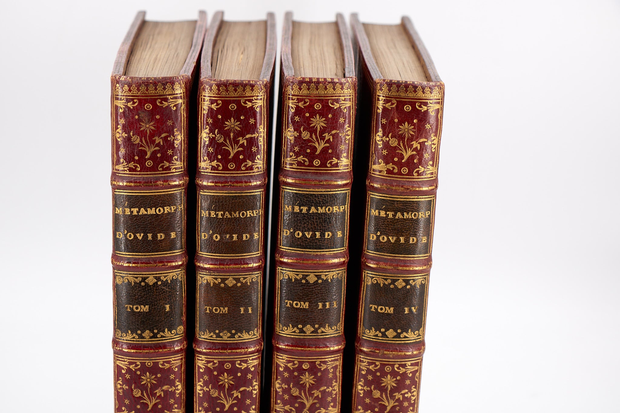 The Pantheon's Verdict: Immortality