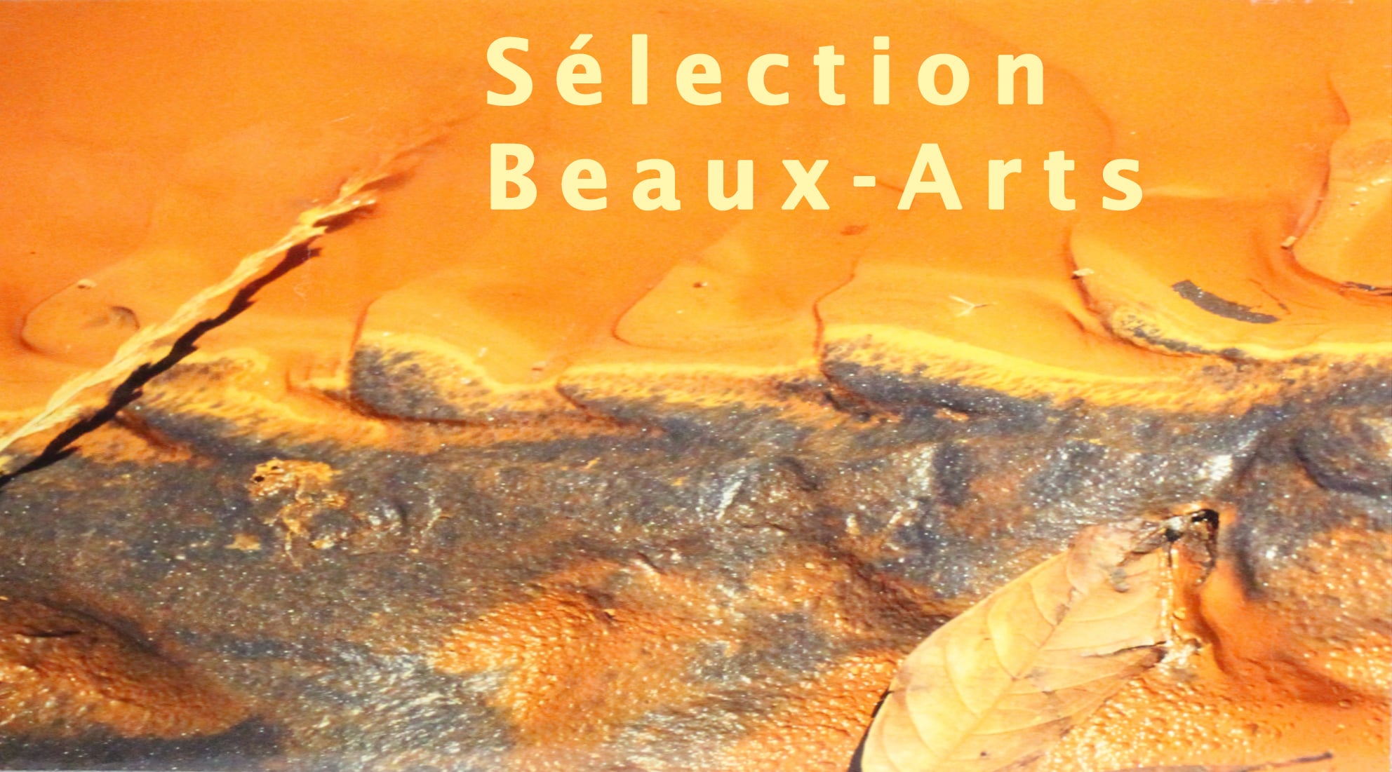 Notre sélection Beaux-Arts
