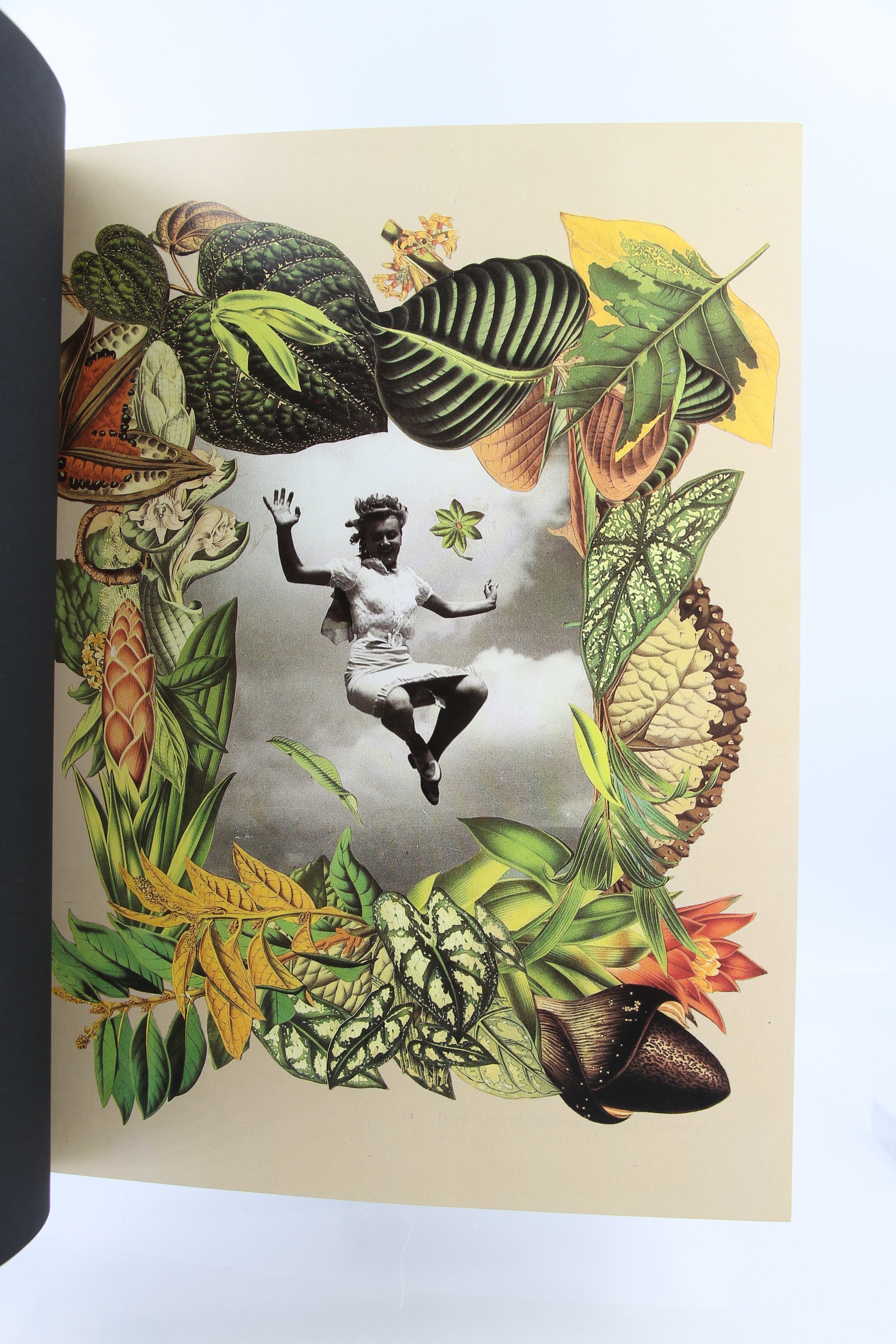 Jacques Prevert Oevres Completes I,II 2冊 image?url=/images/7b862942-