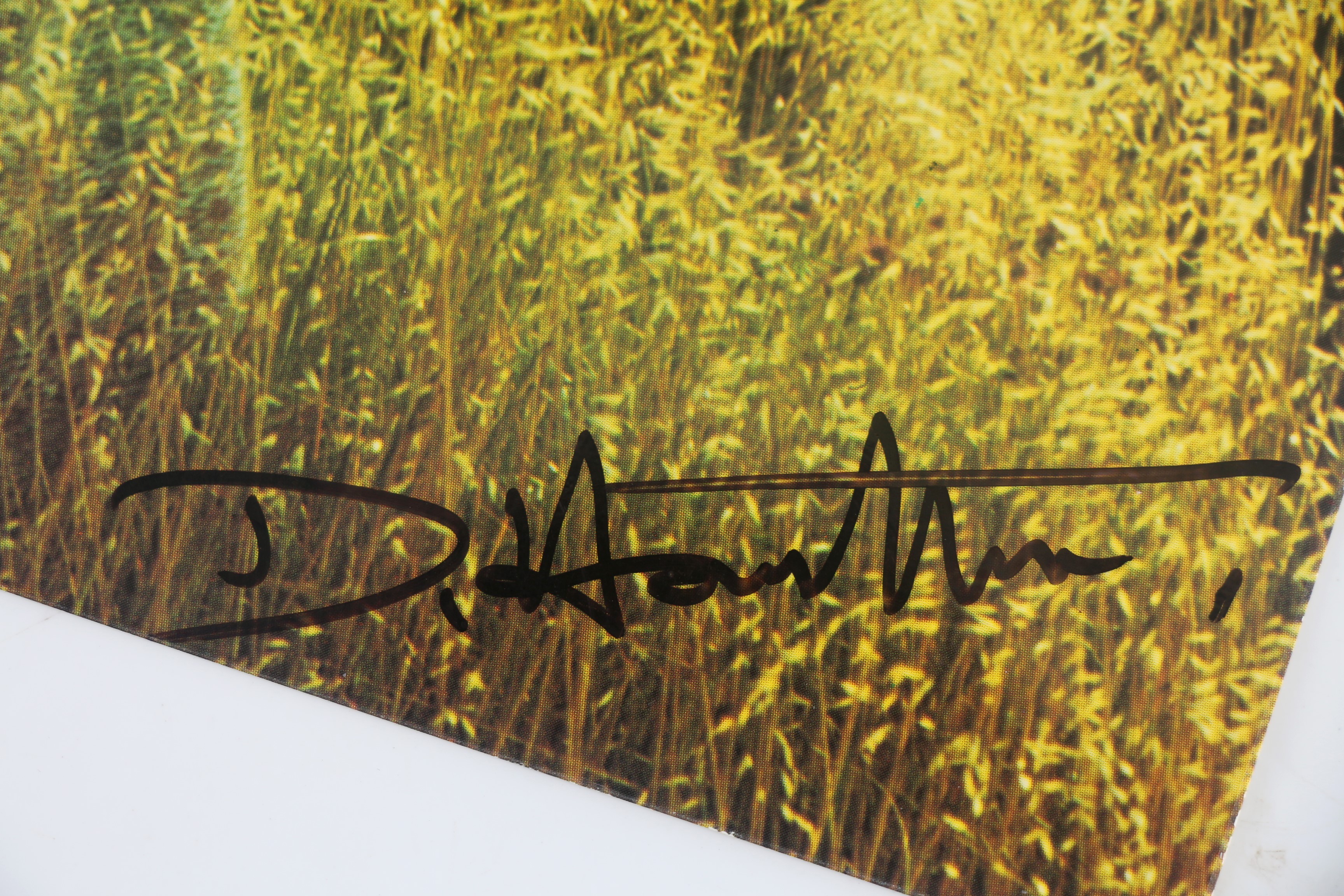 David HAMILTON • Carte postale photographique signée par David