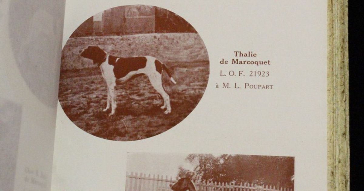 COLLECTIF • Pointer-club français, annuaire 1922 • 1922 – Edition ...