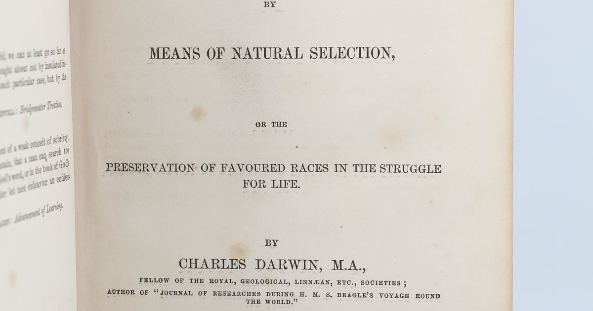 Charles DARWIN • On the origin of species by means of natural selection ...