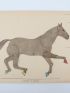 ALIX : Le cheval - Complet du Texte et de l'Atlas - Prima edizione - Edition-Originale.com