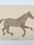 ALIX : Le cheval - Complet du Texte et de l'Atlas - First edition - Edition-Originale.com