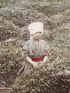 ANONYME : Photographie originale - Cathering tea-leaves at Uji - Prima edizione - Edition-Originale.com