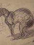 Chiens 3, et études de chiens - Crayon sur papier - Autographe, Edition Originale - Edition-Originale.com