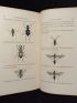 BERTHOUD : Le monde des insectes - Erste Ausgabe - Edition-Originale.com