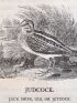 BEWICK : History of British birds - Edition Originale - Edition-Originale.com