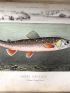 BLANCHERE : La pêche et les poissons. Nouveau Dictionnaire général des pêches - Prima edizione - Edition-Originale.com