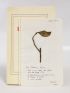 BOURGEADE : L'armoire - Signed book, First edition - Edition-Originale.com