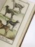 BUFFON : Histoire naturelle, générale et particulière - First edition - Edition-Originale.com