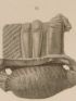 DESCRIPTION DE L'EGYPTE.  Collection d'antiques. Figures et amulettes en terre cuite, en bronze, en serpentine, en verre. (ANTIQUITES, volume V, planche 67) - Edition Originale - Edition-Originale.com