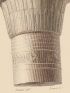 DESCRIPTION DE L'EGYPTE.  Environs d'Esné (Latopolis). Plan, coupe, élévation et détails du temple au nord d'Esné. (ANTIQUITES, volume I, planche 85) - Edition Originale - Edition-Originale.com