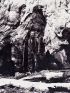 CLARK : Photographie de Galen Clark posant devant le séquoia Grizzly Giant à Yosemite Park Californie - Prima edizione - Edition-Originale.com
