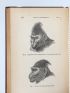 DARWIN : The expression of the emotions in man and animals  - Prima edizione - Edition-Originale.com