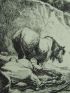 La Fontaine, fables, Les animaux malades de la peste. Gravure originale à l'Eau Forte sur papier Vergé - Erste Ausgabe - Edition-Originale.com