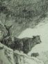 La Fontaine, fables, Les animaux malades de la peste. Gravure originale à l'Eau Forte sur papier Vergé - Prima edizione - Edition-Originale.com