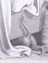 DORE : Charles Perrault, Contes, Le Chaperon Rouge, Loup dévorant la Mère Grand. Gravure originale sur bois de fil, tirée sur Vélin fort - Erste Ausgabe - Edition-Originale.com