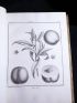 DUHAMEL DU MONCEAU : Traité des arbres fruitiers ; contenant leur figure, leur description, leur culture.  - Edition Originale - Edition-Originale.com