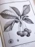 DUHAMEL DU MONCEAU : Traité des arbres fruitiers ; contenant leur figure, leur description, leur culture.  - First edition - Edition-Originale.com