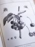 DUHAMEL DU MONCEAU : Traité des arbres fruitiers ; contenant leur figure, leur description, leur culture.  - Erste Ausgabe - Edition-Originale.com