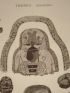 DESCRIPTION DE L'EGYPTE.  Thèbes. Hypogées. Peintures d'enveloppes de momies, et divers fragments en bois peint, en pierre et en bronze. (ANTIQUITES, volume II, planche 56) - First edition - Edition-Originale.com