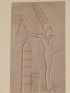 DESCRIPTION DE L'EGYPTE.  Thèbes. Medynet-Abou. Bas-reliefs sculptés sur les murs du palais. (ANTIQUITES, volume II, planche 8) - Prima edizione - Edition-Originale.com