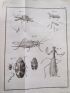 GEOFFROY : Histoire abrégée des insectes qui se trouvent aux environs de Paris - Prima edizione - Edition-Originale.com