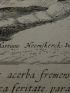 Paulus acerba fremens miseris fera bella ciere Judaica feritate parat, sed corpore lapsus Post, maiora videt legisque excitus ab umbra Sub qua cecus erat, regiones lucet in omnes.  (Ac. Cap.9.3.) Gravure originale du XVIIe siècle - Edition Originale - Edition-Originale.com