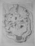 DESCRIPTION DE L'EGYPTE.  Achmouneyn (Hermopolis magna). Plan topographique des ruines. (ANTIQUITES, volume IV, planche 50) - Erste Ausgabe - Edition-Originale.com