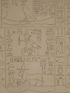 DESCRIPTION DE L'EGYPTE.  Papyrus. Hiéroglyphes. Inscriptions et médailles. Plan, coupes et détails hiéroglyphiques d'un monolithe égyptien, trouvé à Damiette. (ANTIQUITES, volume V, planche 48) - Edition Originale - Edition-Originale.com