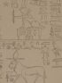 DESCRIPTION DE L'EGYPTE.  Papyrus. Hiéroglyphes. Inscriptions et médailles. Plan, coupes et détails hiéroglyphiques d'un monolithe égyptien, trouvé à Damiette. (ANTIQUITES, volume V, planche 48) - Prima edizione - Edition-Originale.com