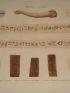 DESCRIPTION DE L'EGYPTE.  Thèbes. Hypogées. Fragments coloriés, Bras et bandelette de momie, Briques portant des hiéroglyphes imprimés. (ANTIQUITES, volume II, planche 48) - Edition Originale - Edition-Originale.com
