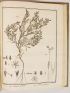 LA BILLARDIERE : Icones Plantarum Syriae rariorum, descriptionibus et observationibus illustratae - Prima edizione - Edition-Originale.com