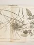 LA BILLARDIERE : Icones Plantarum Syriae rariorum, descriptionibus et observationibus illustratae - First edition - Edition-Originale.com