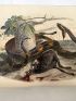 LACEPEDE : Histoire naturelle de Lacépède comprenant les Cétacés, les Quadrupèdes ovipares, les Serpents et les Poissons - Edition-Originale.com