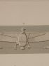 DESCRIPTION DE L'EGYPTE.  Koum Omboû (Ombos). Sculptures et détails du grand temple. (ANTIQUITES, volume I, planche 44) - Erste Ausgabe - Edition-Originale.com