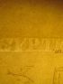 DESCRIPTION DE L'EGYPTE.  Papyrus. Hiéroglyphes. Inscriptions et médailles. Inscriptions hiéroglyphiques et coiffures copiées à Denderah. (ANTIQUITES, volume V, planche 49) - Erste Ausgabe - Edition-Originale.com