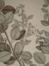 DESCRIPTION DE L'EGYPTE.  Botanique. Balanites aegyptiaca, Fagonia glutinosa, Fagonia latifolia. (Histoire Naturelle, planche 28) - Edition Originale - Edition-Originale.com